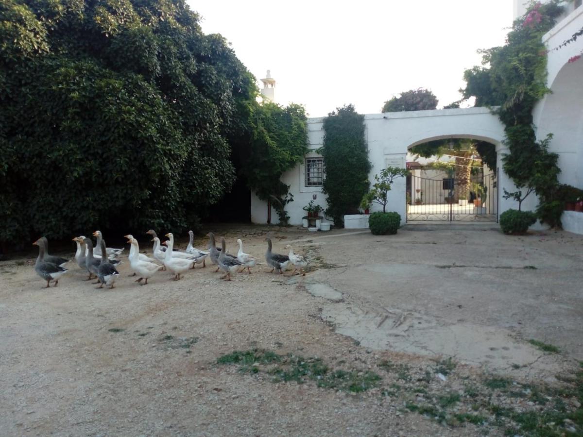 Masseria Parco Di Castro Montalbano  Eksteriør bilde